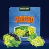 Falcon Grape Mint 500 Gr
